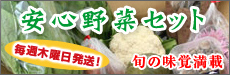 安心野菜セット