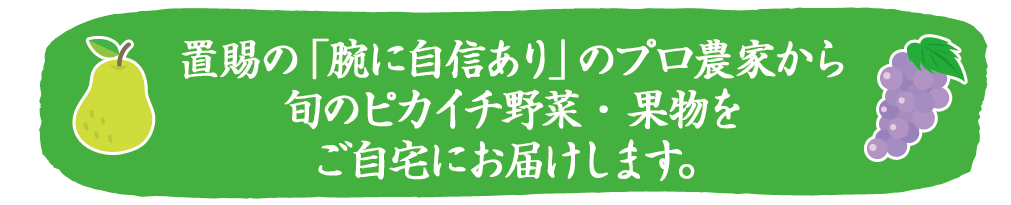 置賜の「腕に自信あり」のプロ農家から旬のピカイチ野菜・果物をご自宅にお届けします。