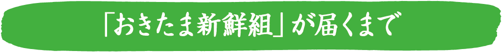 おきたま新鮮組が届くまで