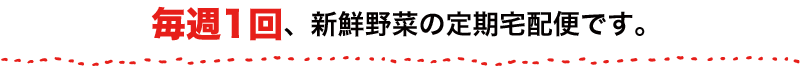 毎週1回、新鮮野菜の定期宅配便です。