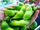 枝豆