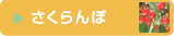 さくらんぼ