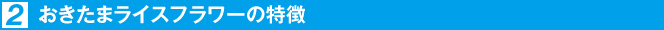 2.おきたまライスフラワーの特徴