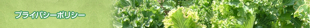 プライバシーポリシー