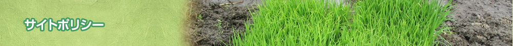 サイトポリシー